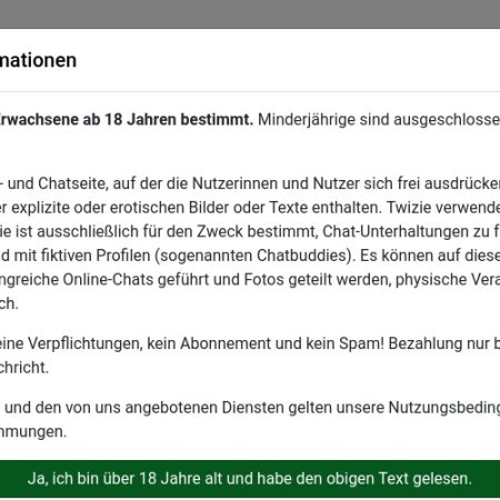 Twizie.de Erfahrungen