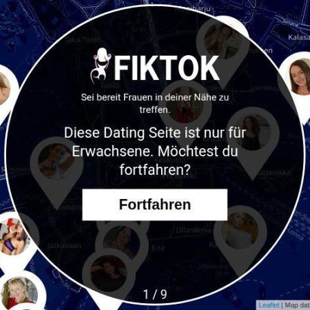Fiktok.com Erfahrungsbericht