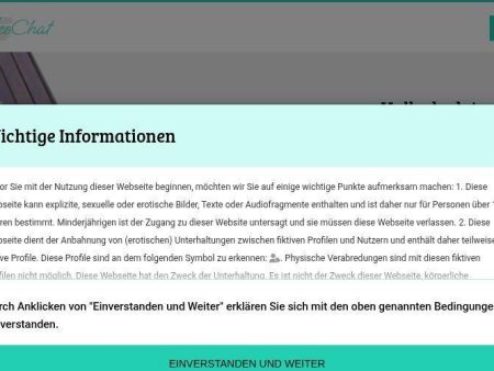 MeinSinglesChat.com Erfahrungen